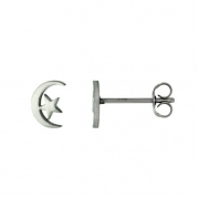 Stainless Steel Tiny Moon & Star Stud Earrings 5/16 inch High