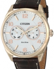 Citizen Men's AO9023-01A Dress Analog Display Japanese Quartz Brown Watch