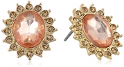 1928 Jewelry Basic Classics Gold-Tone Light Colorado Topaz Faceted Button Stud Earrings
