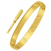 Stainless Steel Designer Inspired Screw Head Love Bangle Bracelet Gold Color