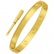 Stainless Steel Gold Designer Inspired Screw Head Oval Bangle Bracelet for Men & Women