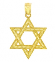 10k Gold Judaica Charm Jewish Star of David Pendant (Small)